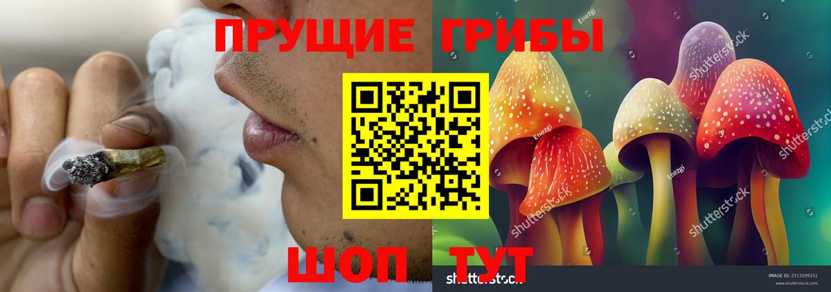 Псилоцибиновые грибы MAGIC MUSHROOMS Канск
